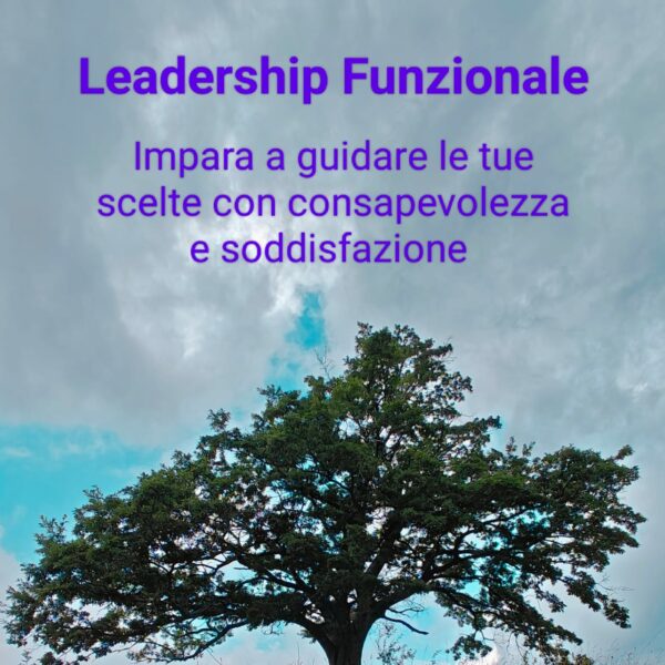 Leadership funzionale